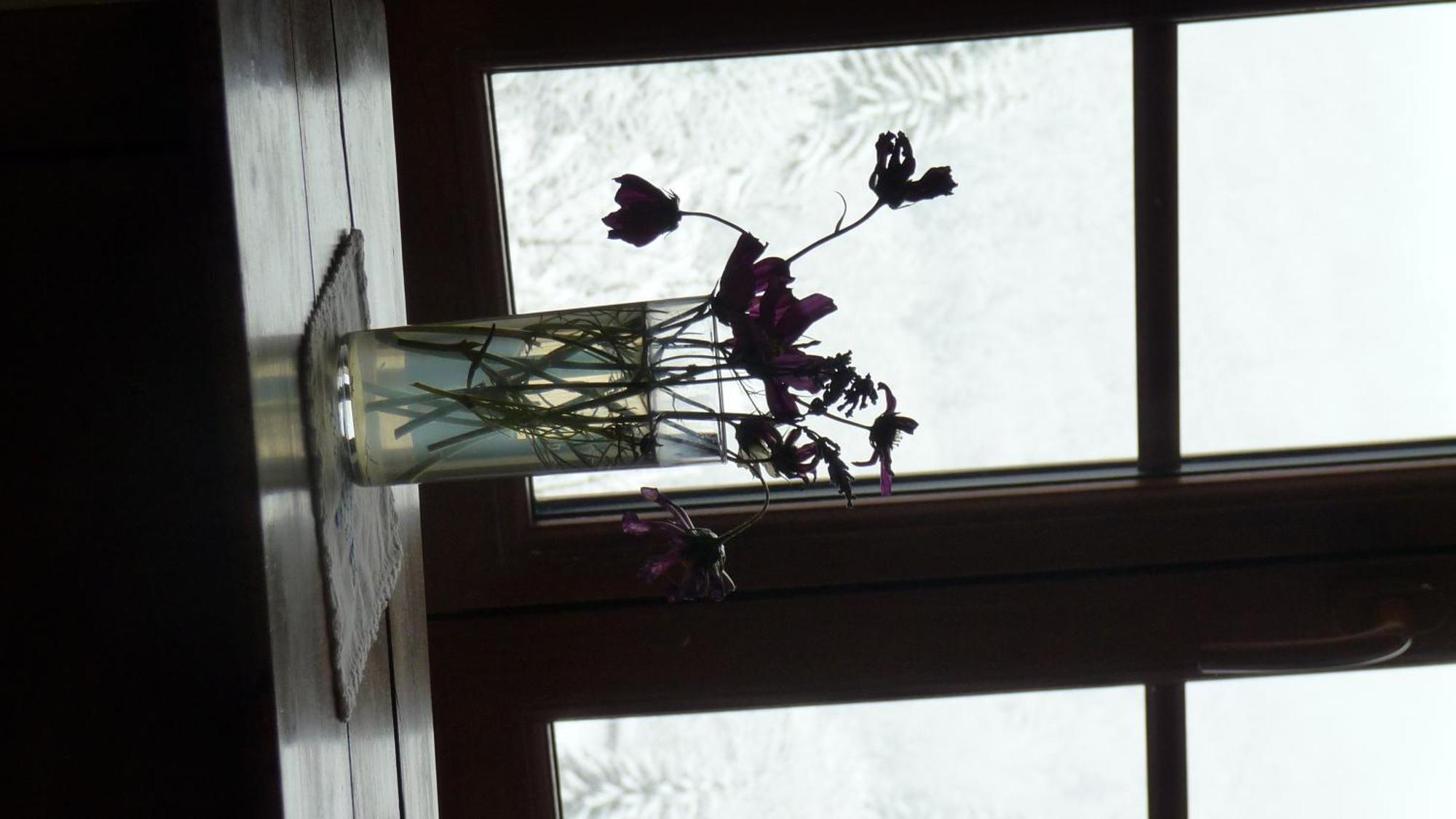 Bed and Breakfast La Chouette A L'Heure Du Pinson Saint-Pierre-d'Entremont  Zimmer foto