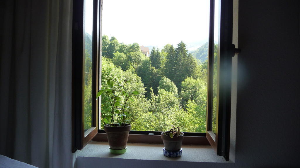 Bed and Breakfast La Chouette A L'Heure Du Pinson Saint-Pierre-d'Entremont  Exterior foto